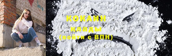 крисы Абаза