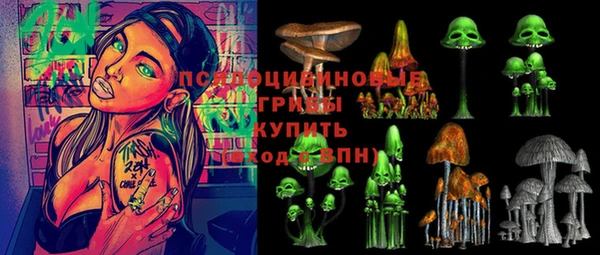 крисы Абаза
