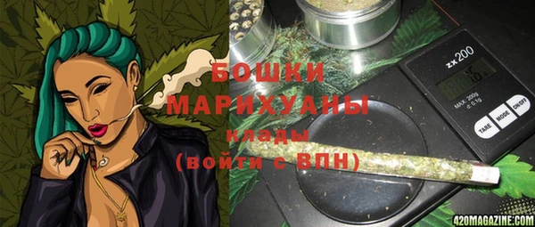молекула духа Майский
