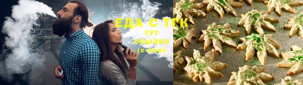 крисы Абаза