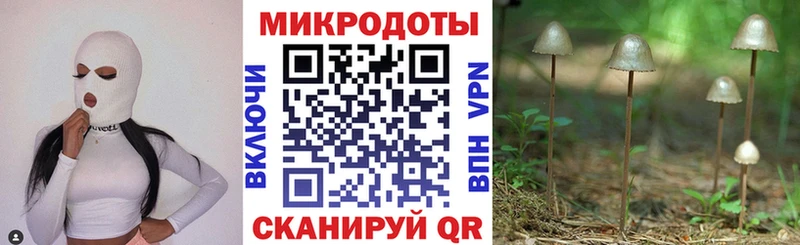 Галлюциногенные грибы Cubensis  площадка как зайти  Щучье 